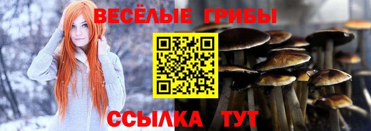 Псилоцибиновые грибы мицелий  Вход с VPN  Артёмовский 